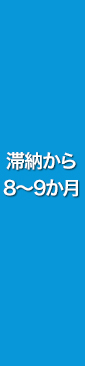 滞納から 8～9か月