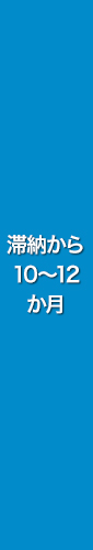 滞納から 10～12 か月